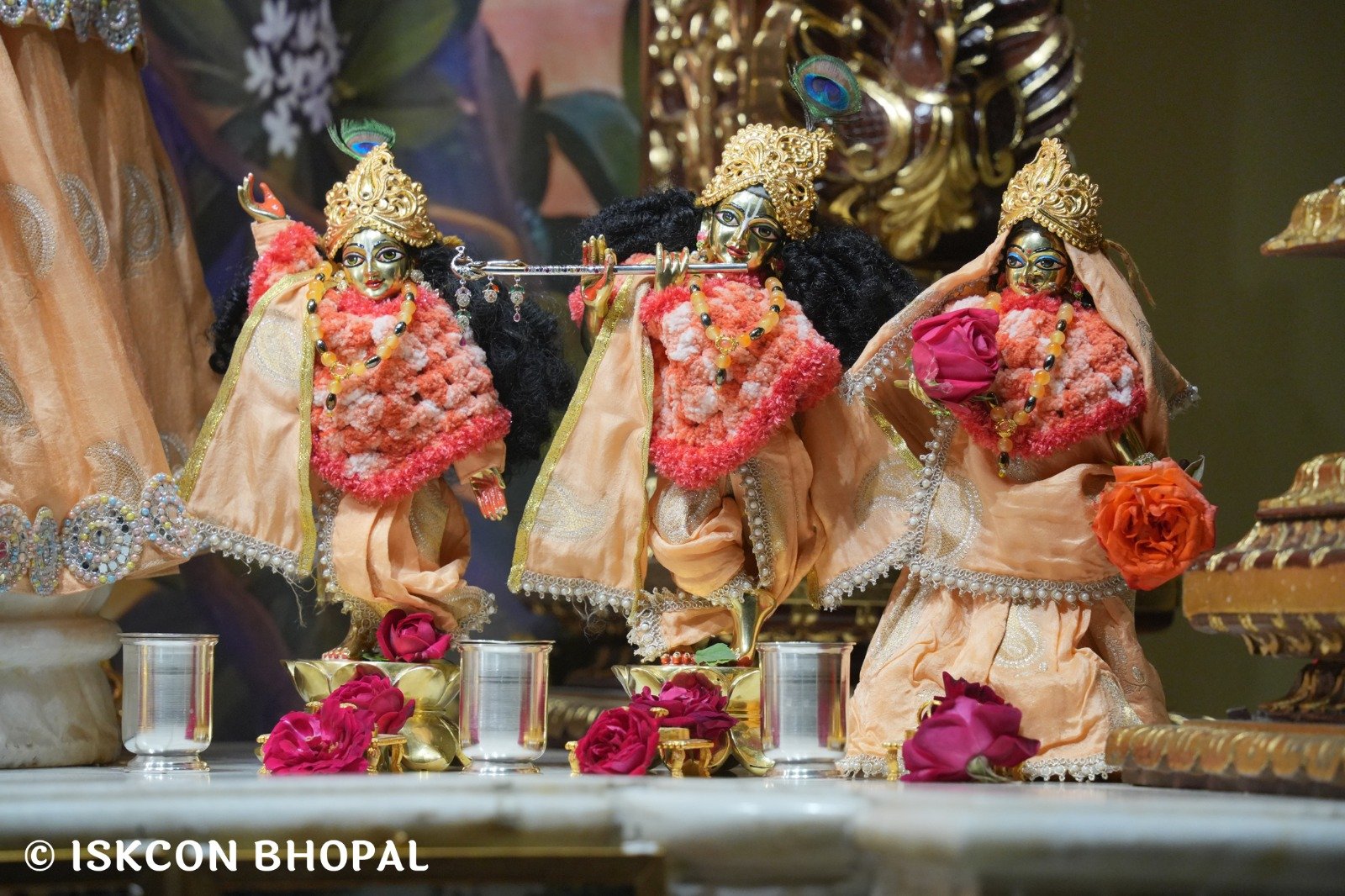 WhatsApp Image 2025-12-25 at 7.11.23 AM (3)