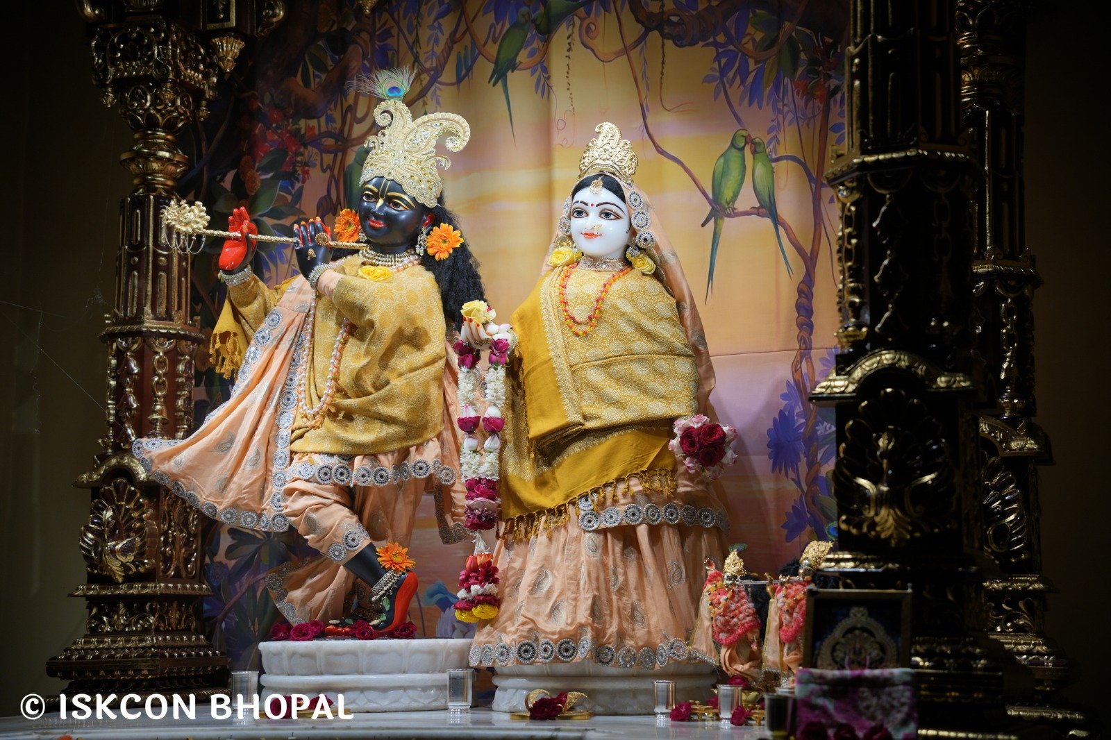 WhatsApp Image 2025-12-25 at 7.11.24 AM (2)