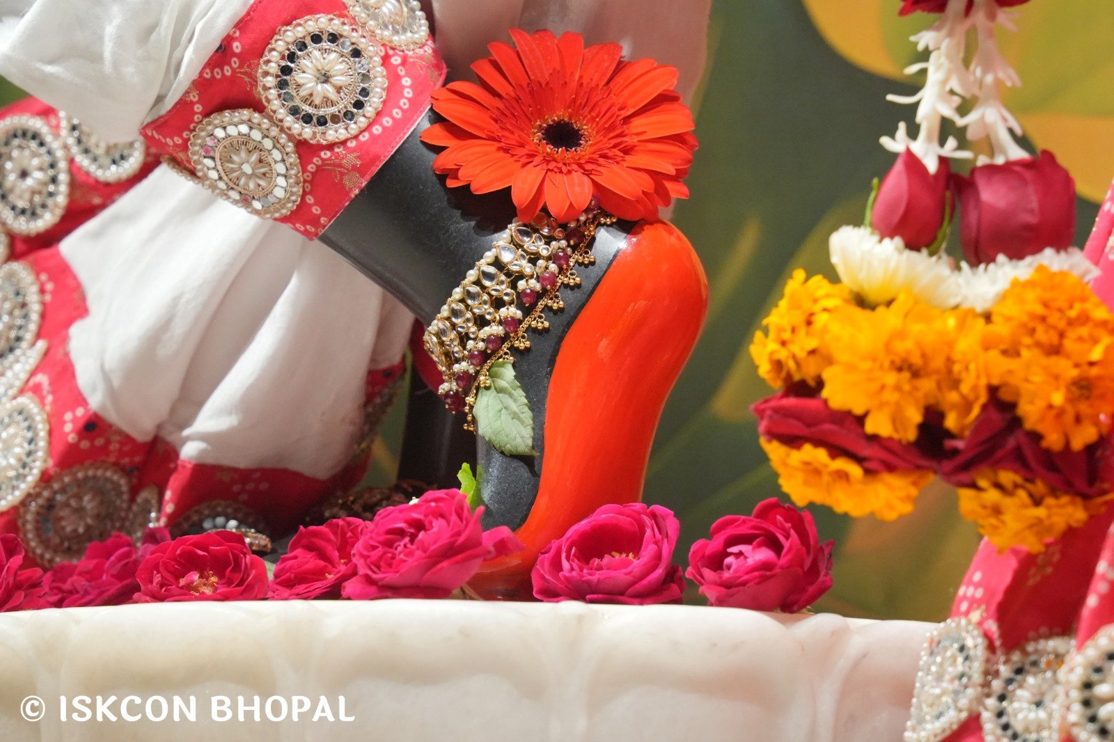 WhatsApp Image 2025-12-26 at 6.55.12 AM (2)