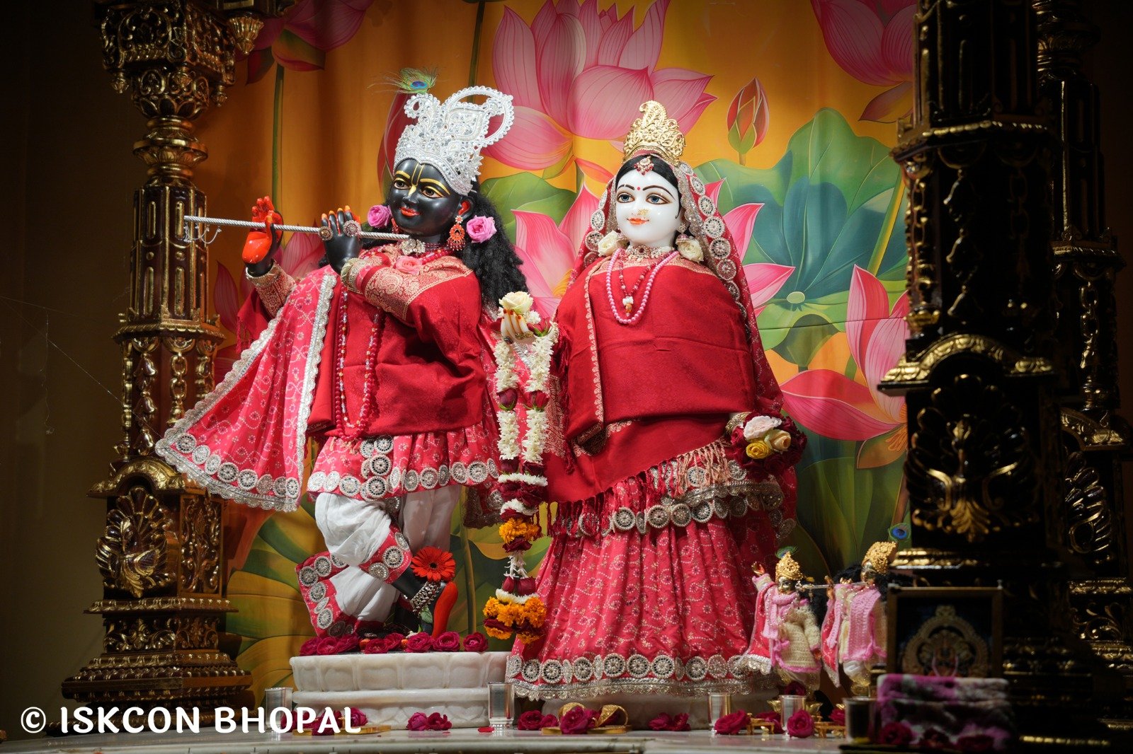 WhatsApp Image 2025-12-26 at 6.55.13 AM (3)