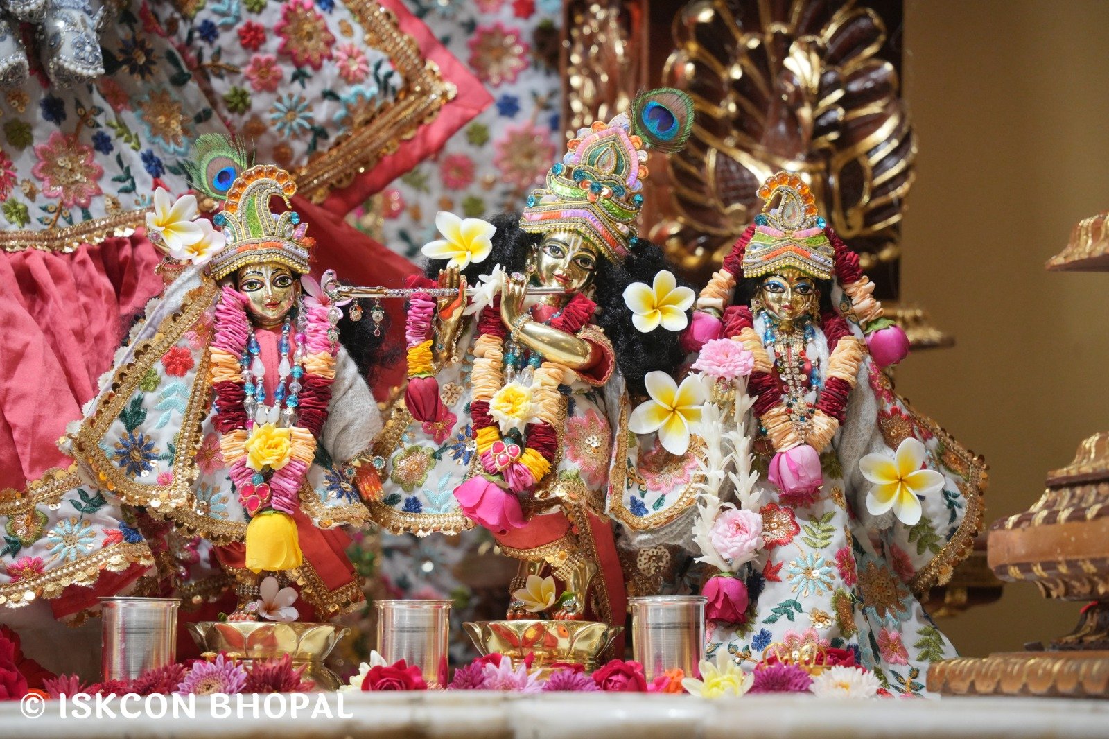 WhatsApp Image 2025-12-26 at 7.54.54 AM