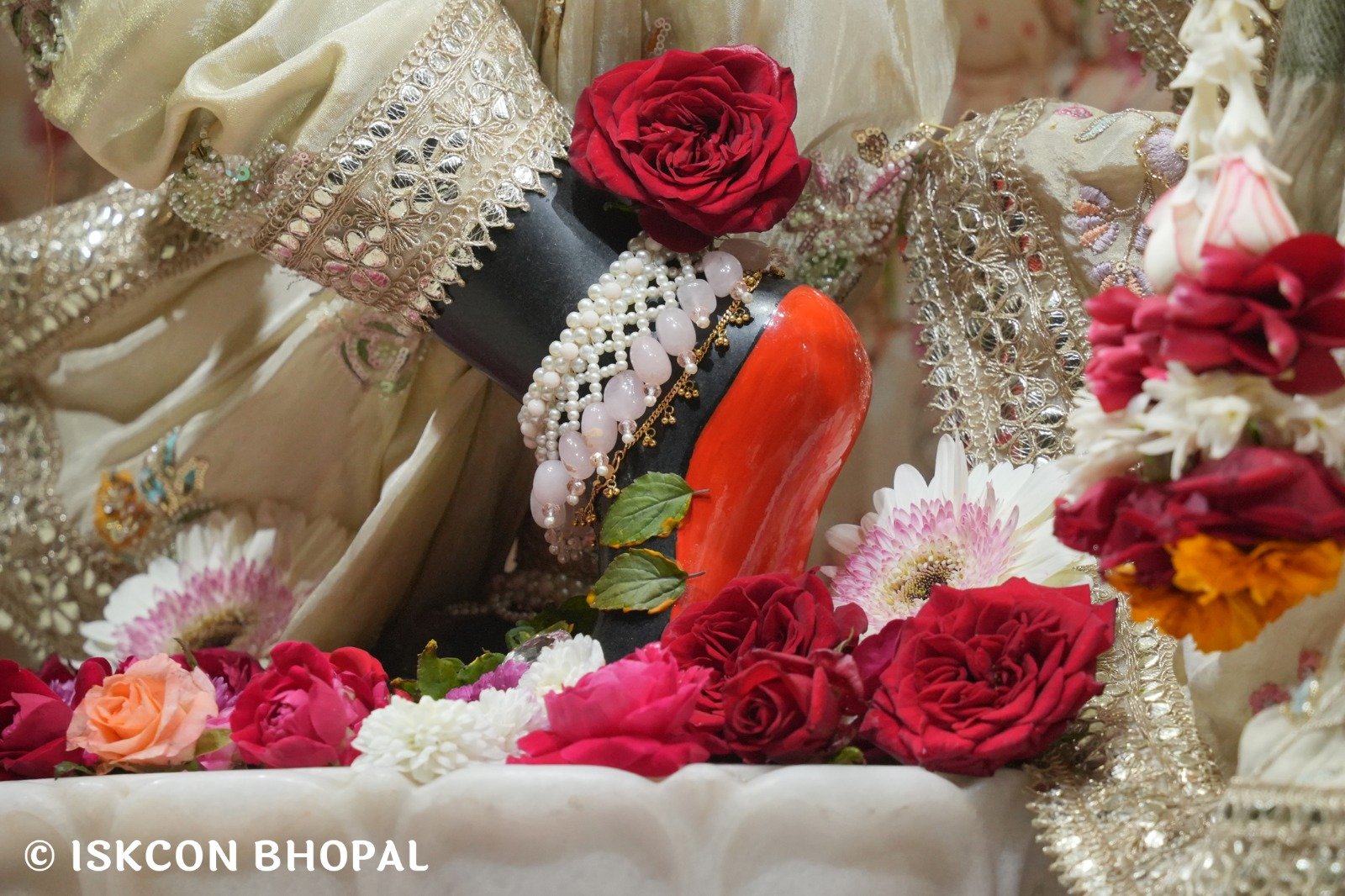 WhatsApp Image 2025-12-27 at 8.07.50 AM