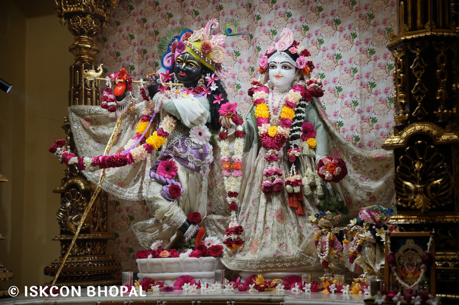 WhatsApp Image 2025-12-27 at 8.07.51 AM (2)