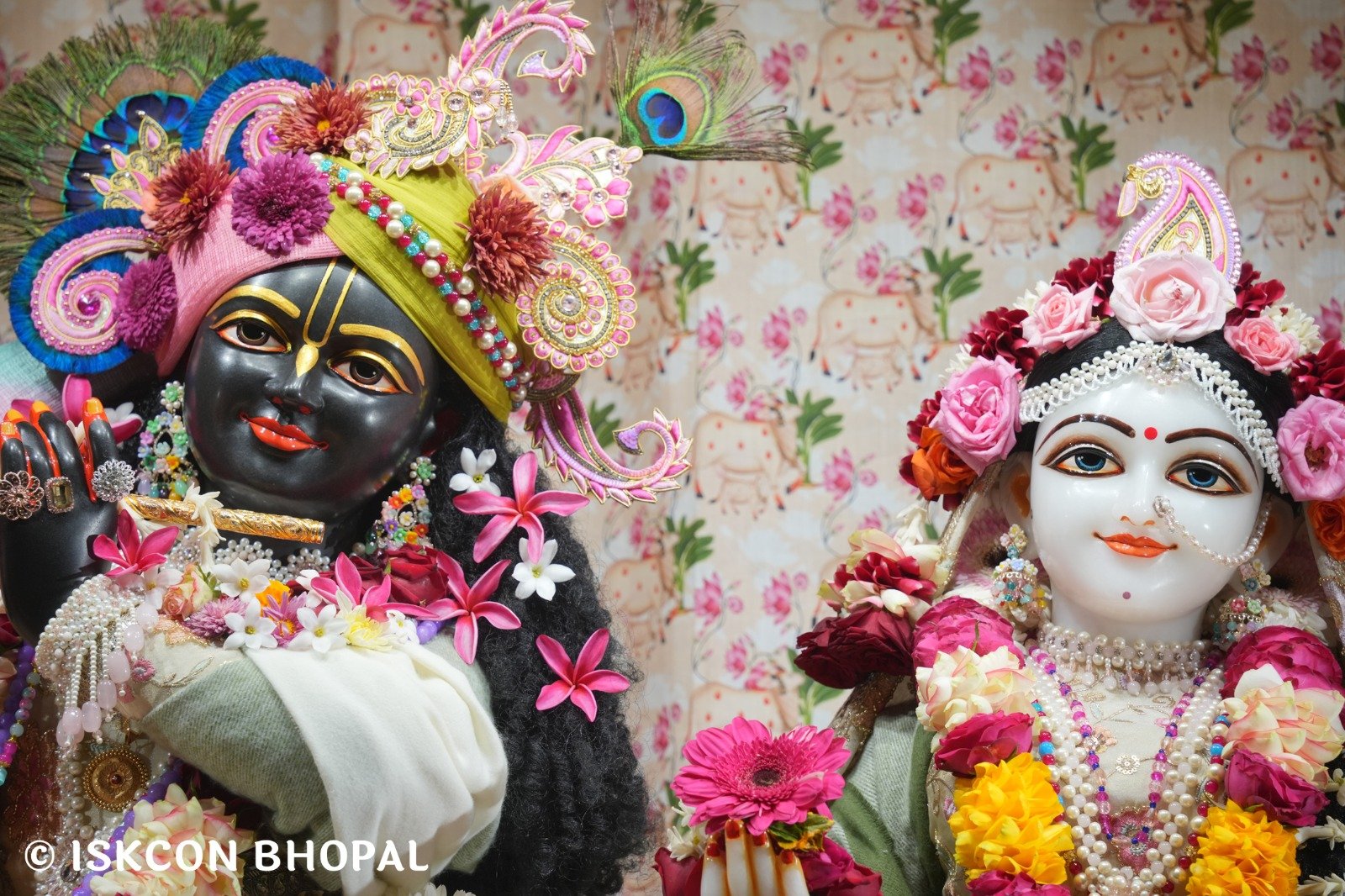 WhatsApp Image 2025-12-27 at 8.07.51 AM (3)