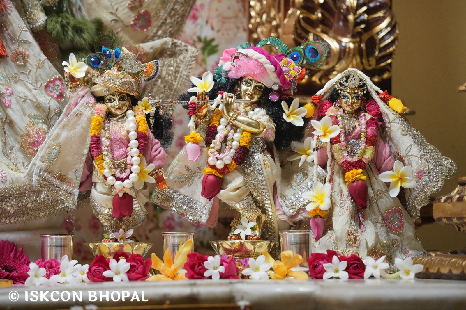 WhatsApp Image 2025-12-27 at 8.07.51 AM (4)