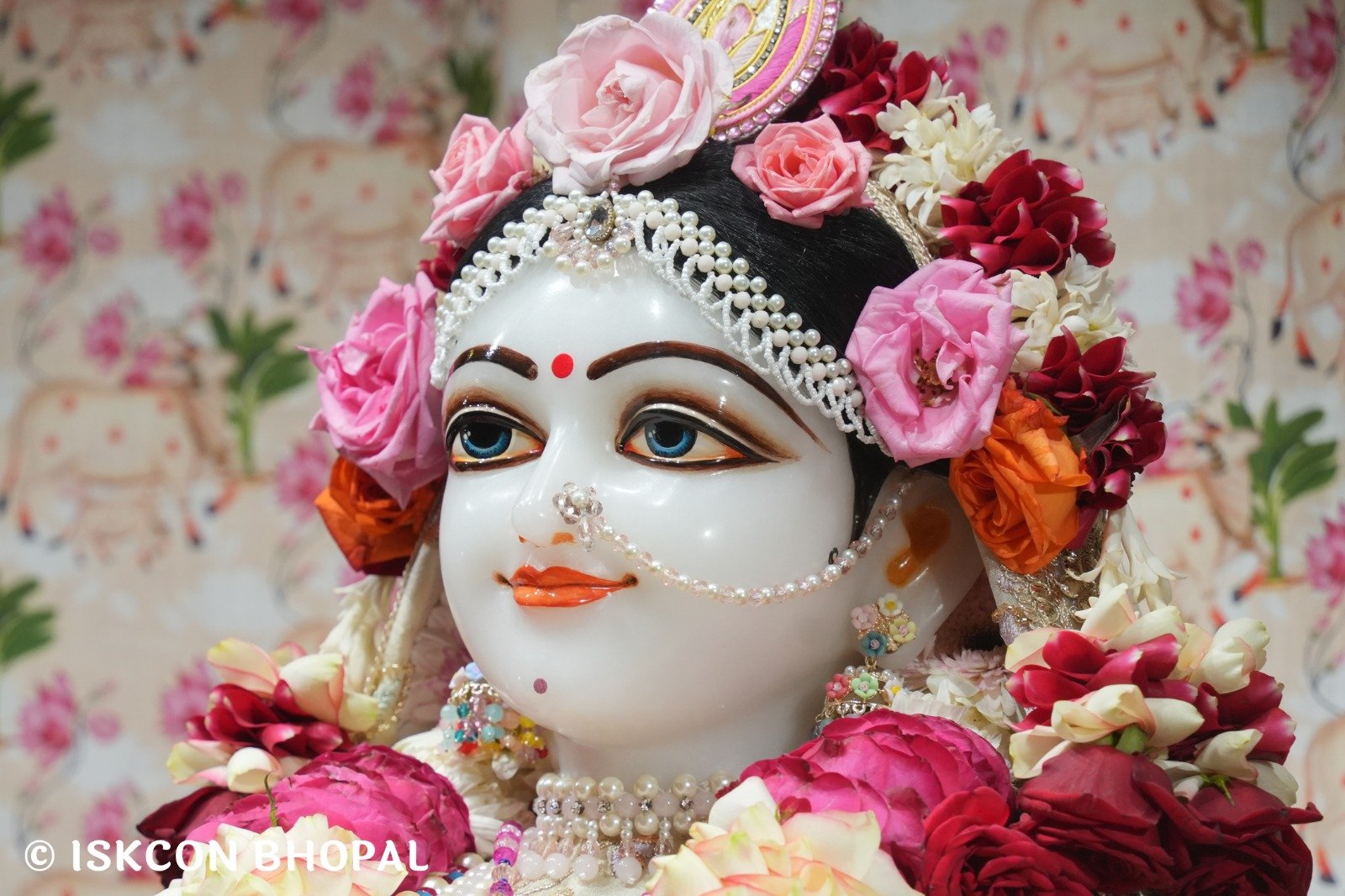 WhatsApp Image 2025-12-27 at 8.07.51 AM