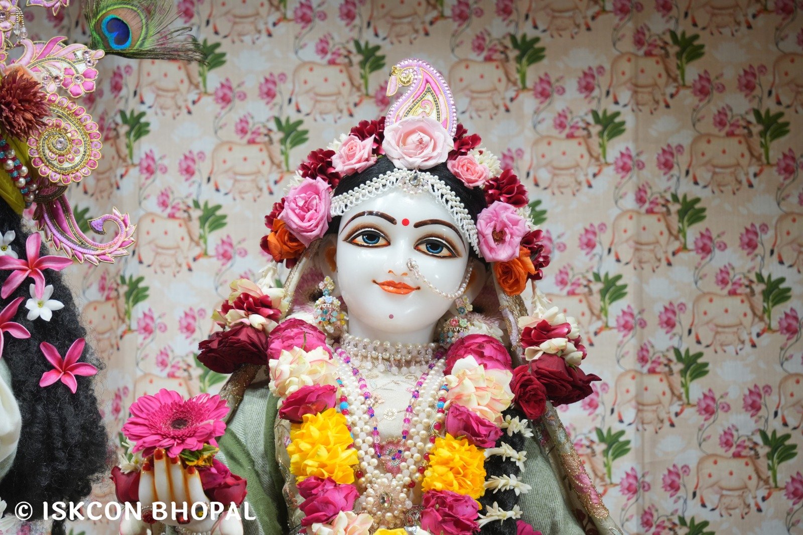 WhatsApp Image 2025-12-27 at 8.07.52 AM (1)