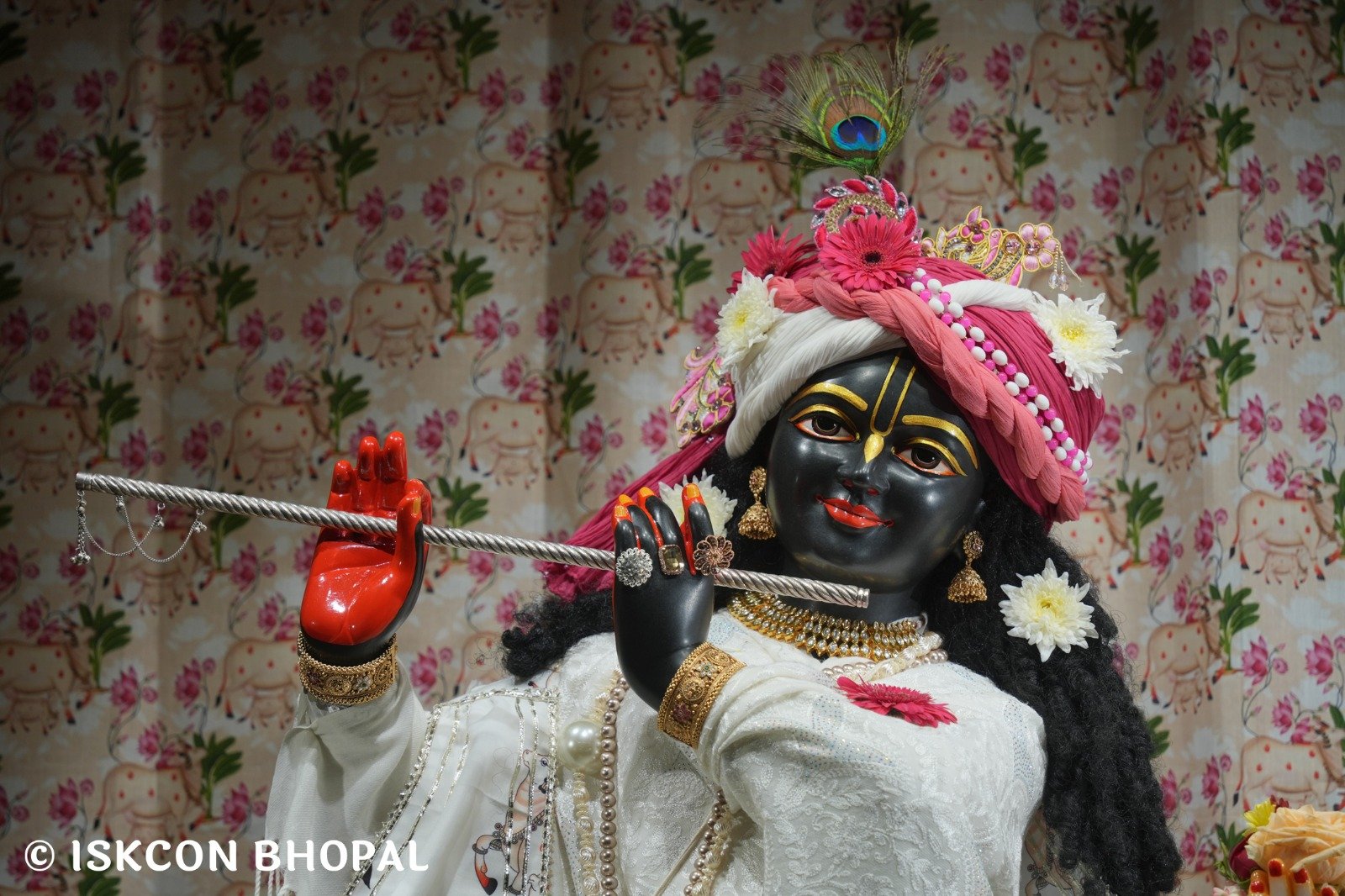 WhatsApp Image 2025-12-28 at 6.58.35 AM (1)