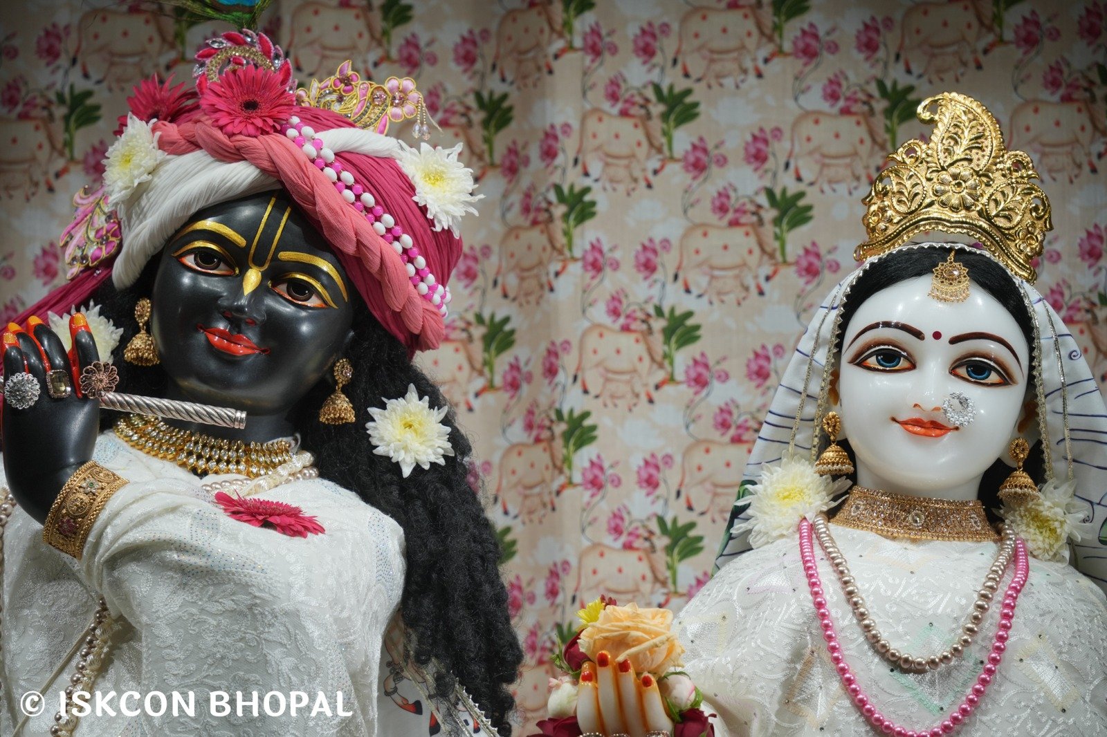 WhatsApp Image 2025-12-28 at 6.58.35 AM (2)