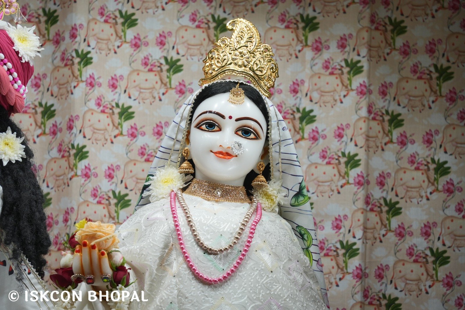 WhatsApp Image 2025-12-28 at 6.58.36 AM (1)