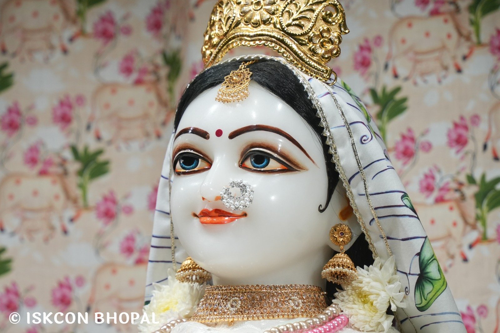 WhatsApp Image 2025-12-28 at 6.58.37 AM