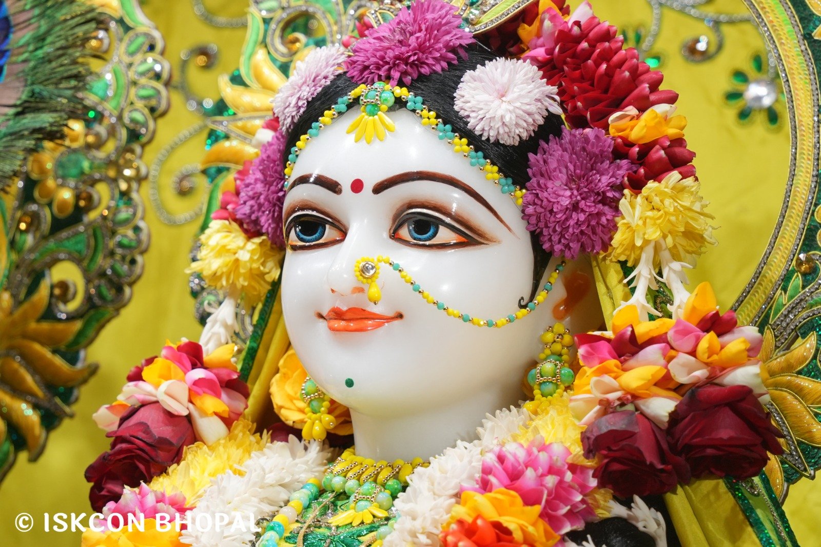 WhatsApp Image 2025-12-29 at 8.31.45 AM (1)