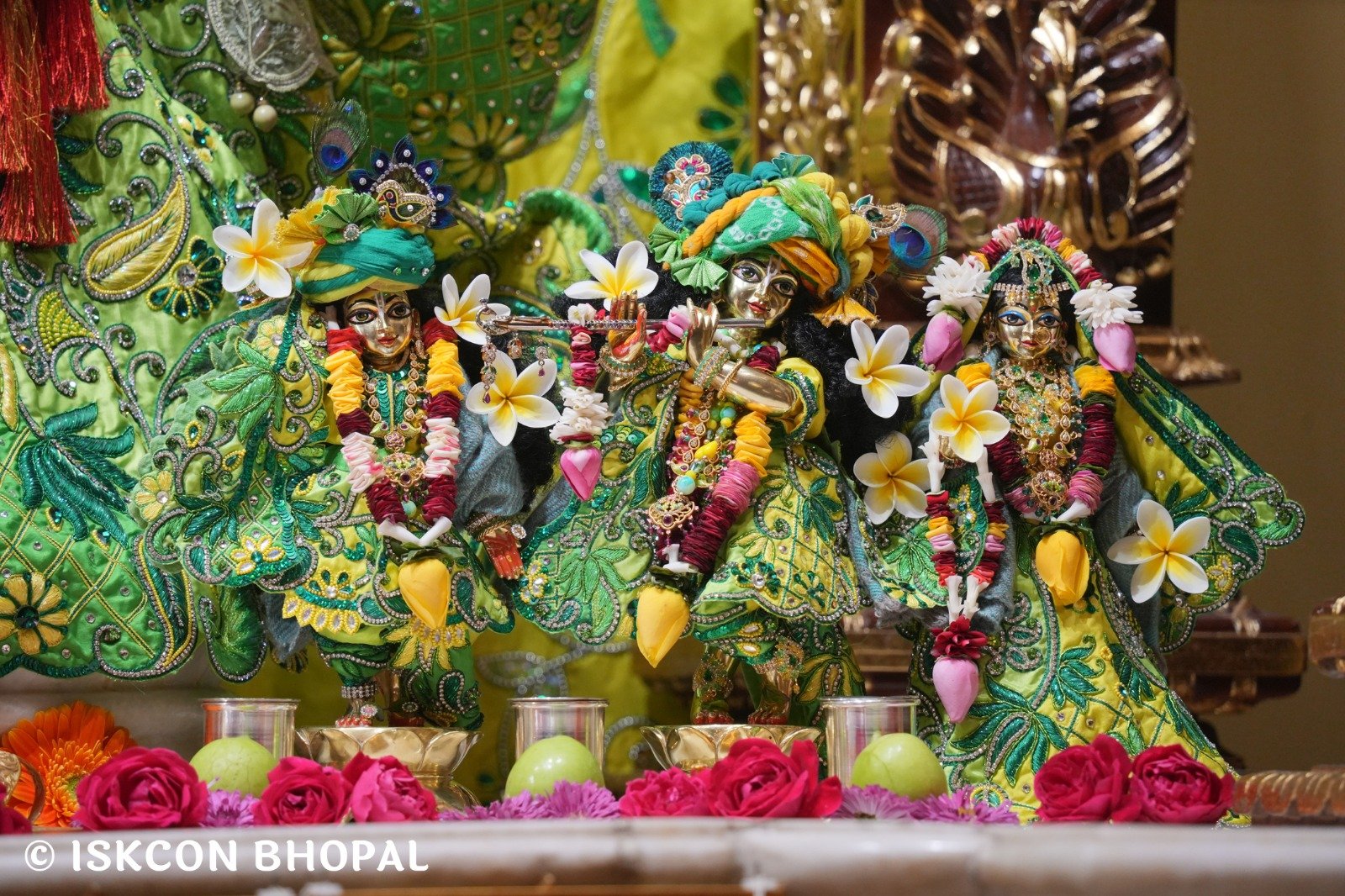 WhatsApp Image 2025-12-29 at 8.31.47 AM (3)