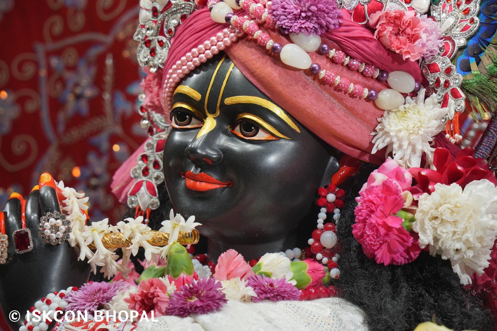 WhatsApp Image 2025-12-31 at 7.42.49 AM (1)