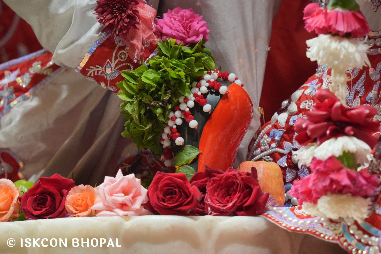 WhatsApp Image 2025-12-31 at 7.42.49 AM