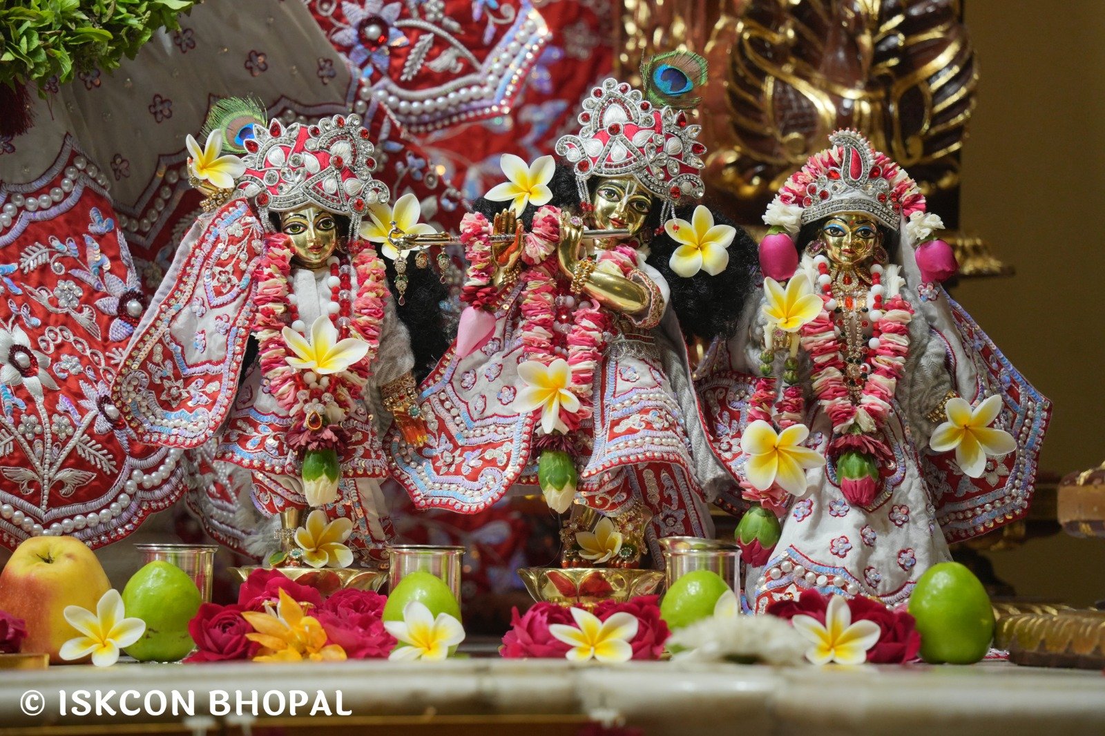 WhatsApp Image 2025-12-31 at 7.42.50 AM (2)