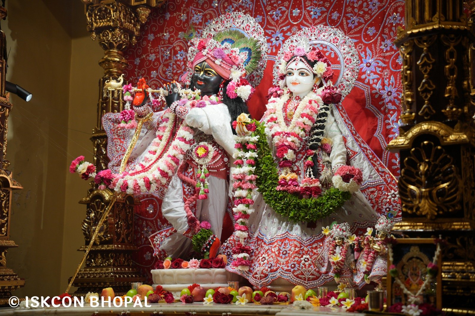 WhatsApp Image 2025-12-31 at 7.42.50 AM