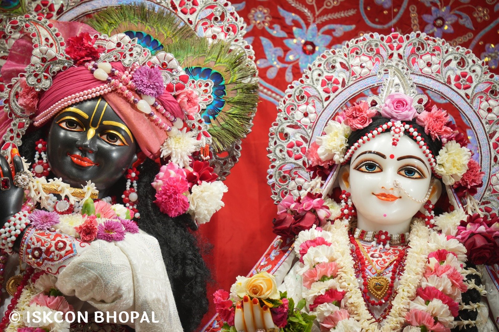 WhatsApp Image 2025-12-31 at 7.42.51 AM (2)