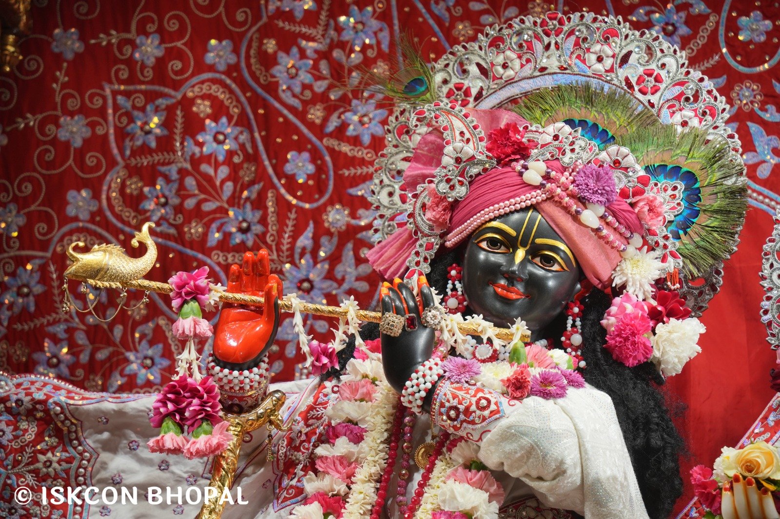 WhatsApp Image 2025-12-31 at 7.42.51 AM (3)