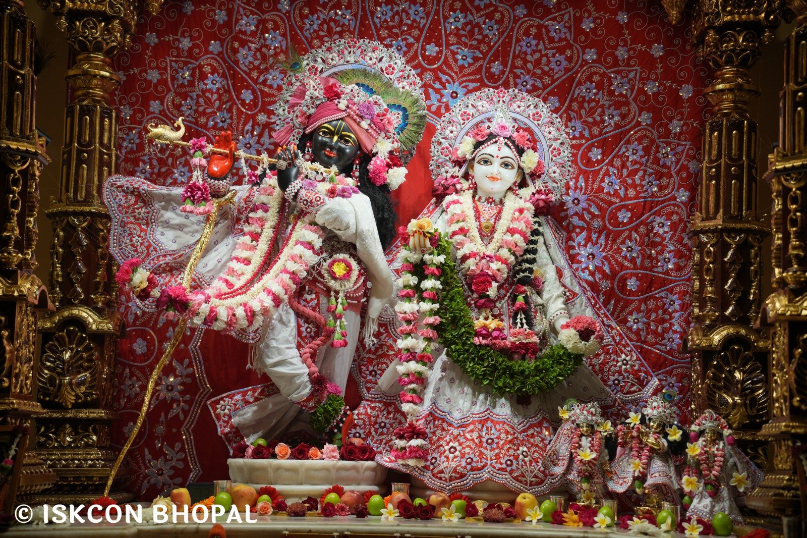 WhatsApp Image 2025-12-31 at 7.42.53 AM