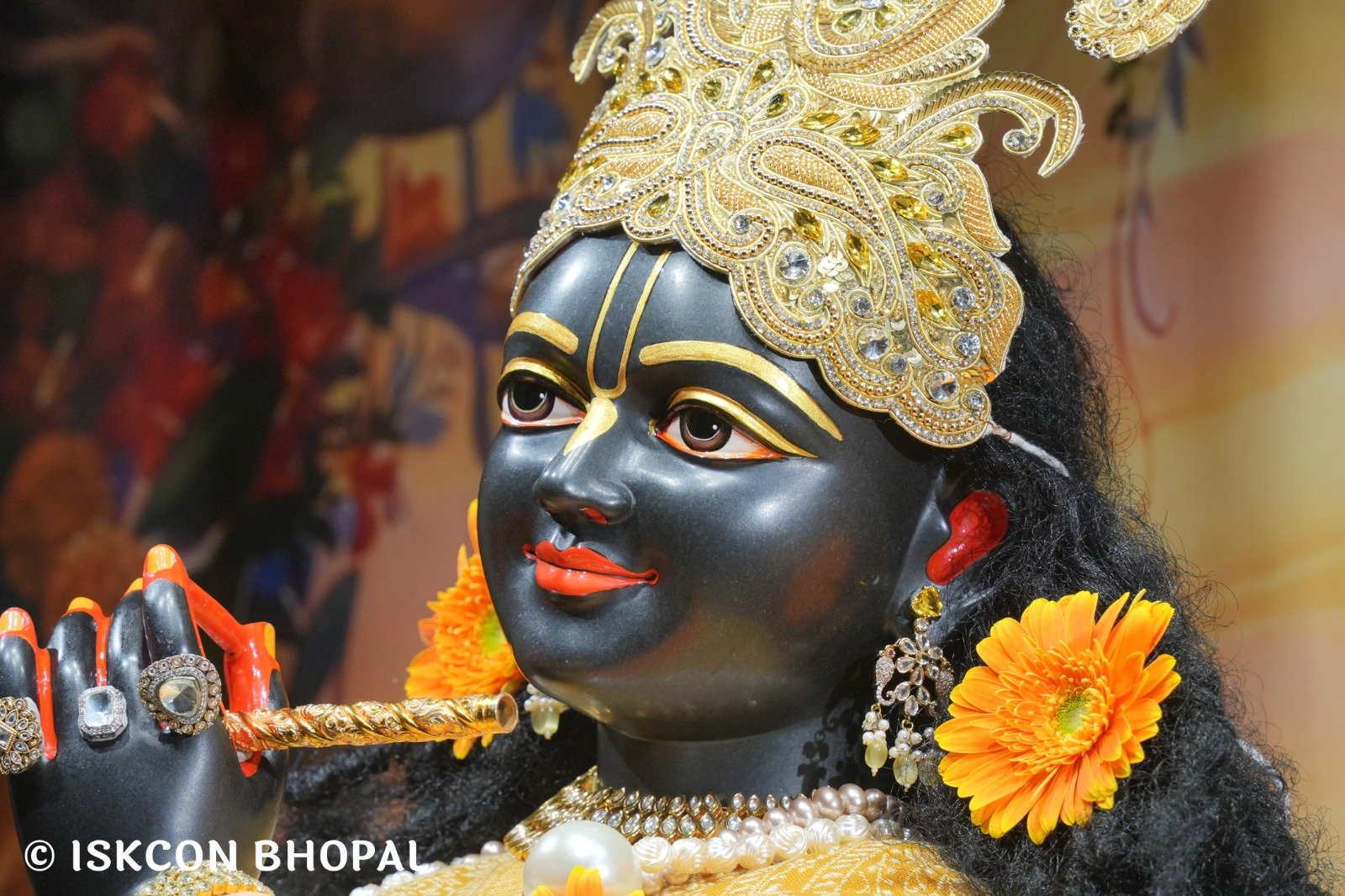 c9087428-87e0-4883-932b-cb753e9569d6