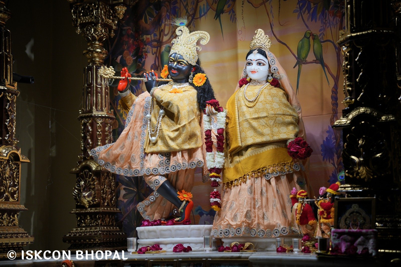 d04addda-2d15-4414-a370-09a84851d8b1