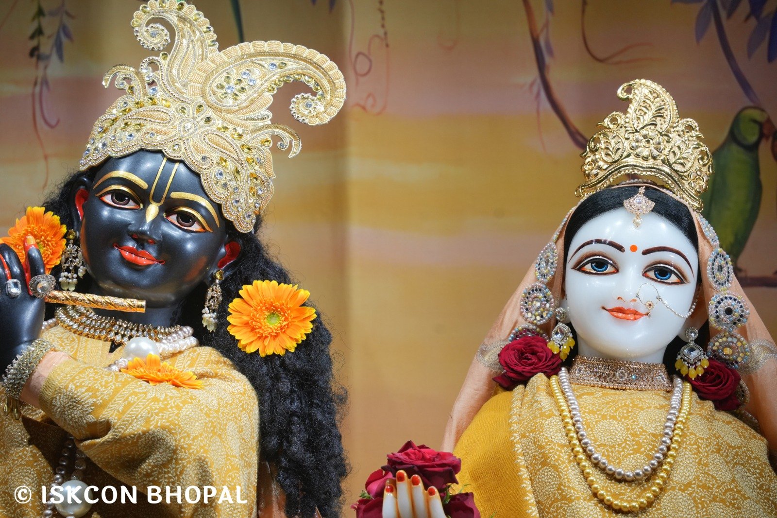 d4f77520-6a5b-43d2-9faf-020ca708264c