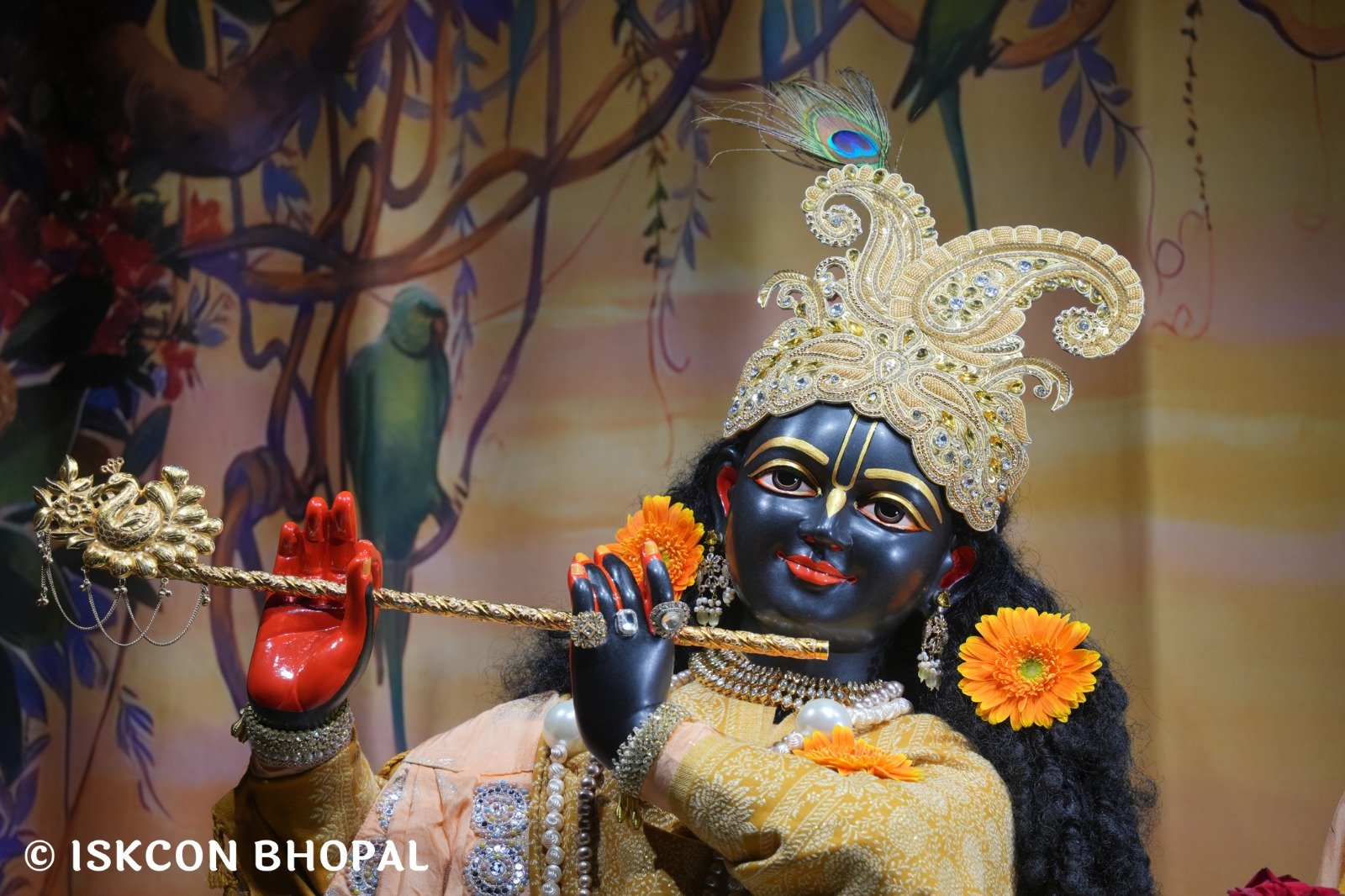 faa46836-8da7-4aaf-9930-1fbbf1836dba