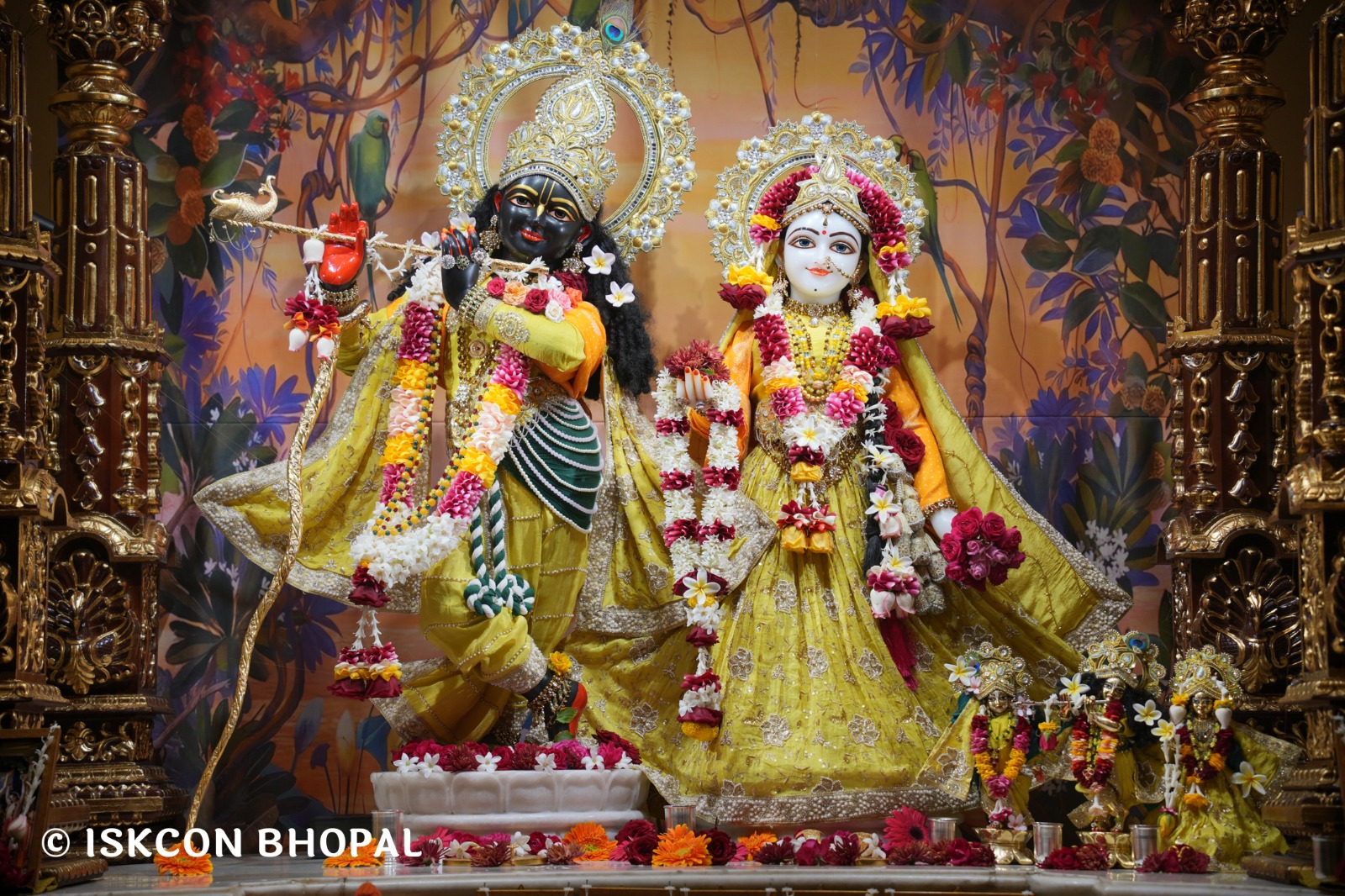 IMG-20260121-WA0013(1)