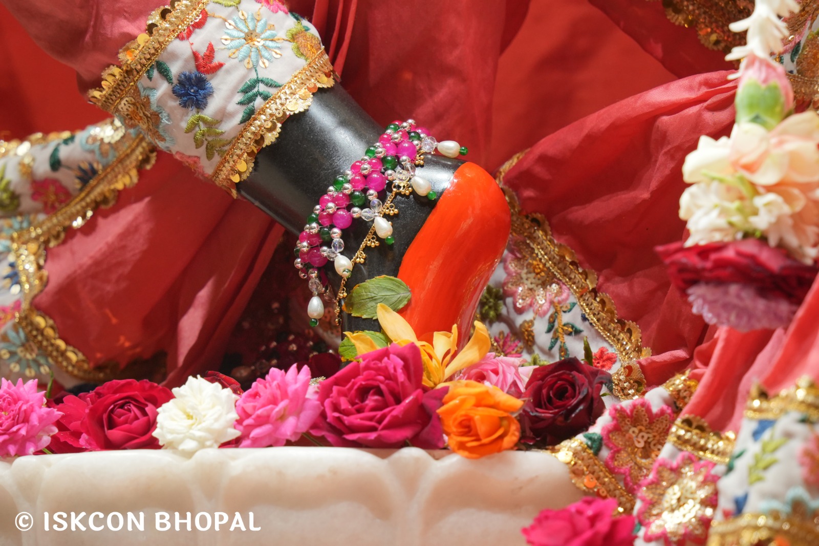 WhatsApp Image 2026-01-02 at 7.54.43 AM (1)