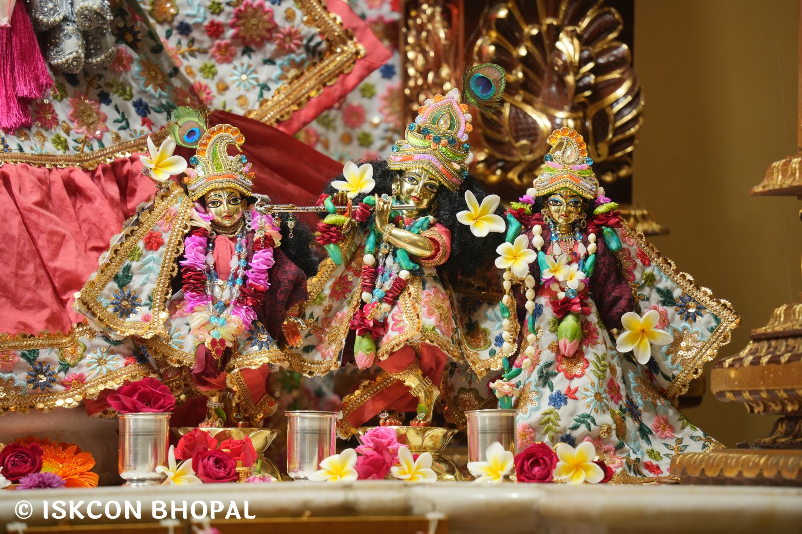 WhatsApp Image 2026-01-02 at 7.54.43 AM