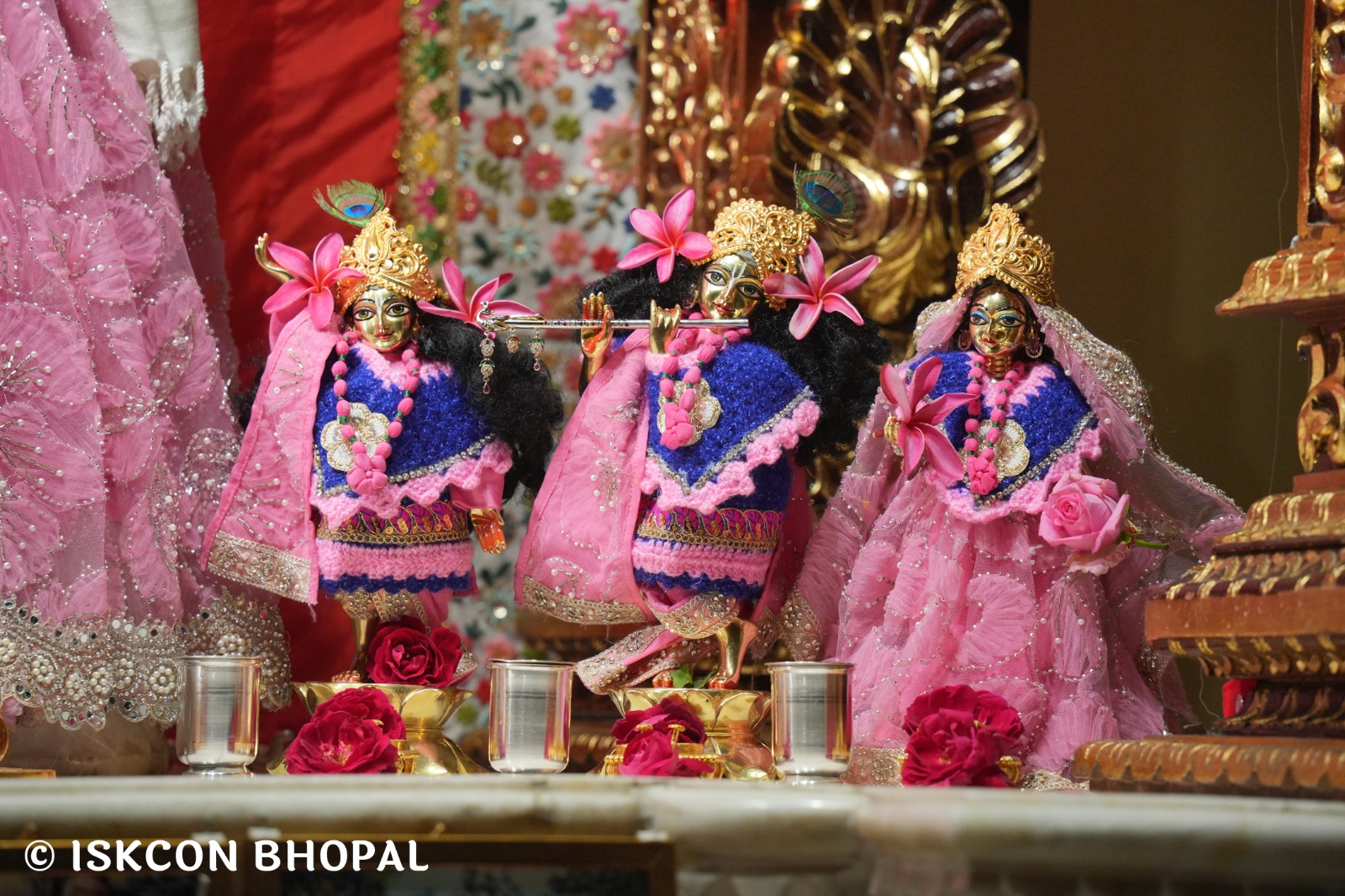 WhatsApp Image 2026-01-03 at 6.54.13 AM (1)