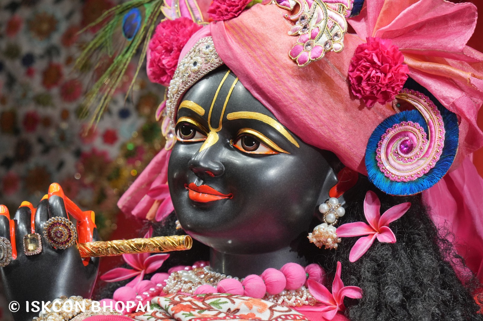 WhatsApp Image 2026-01-03 at 6.54.13 AM (4)