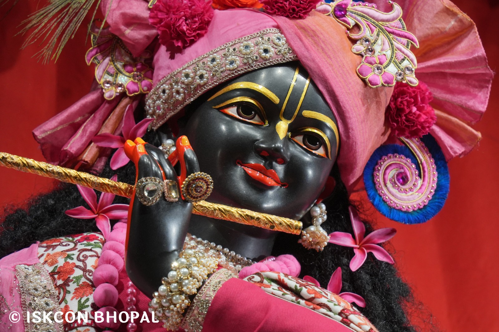 WhatsApp Image 2026-01-03 at 6.54.14 AM (1)