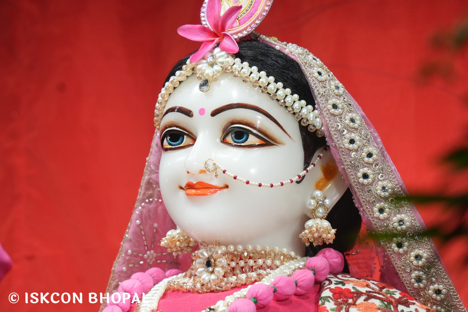 WhatsApp Image 2026-01-03 at 6.54.14 AM