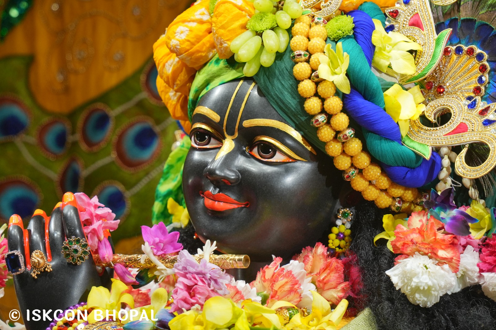 WhatsApp Image 2026-01-03 at 9.11.47 AM (1)