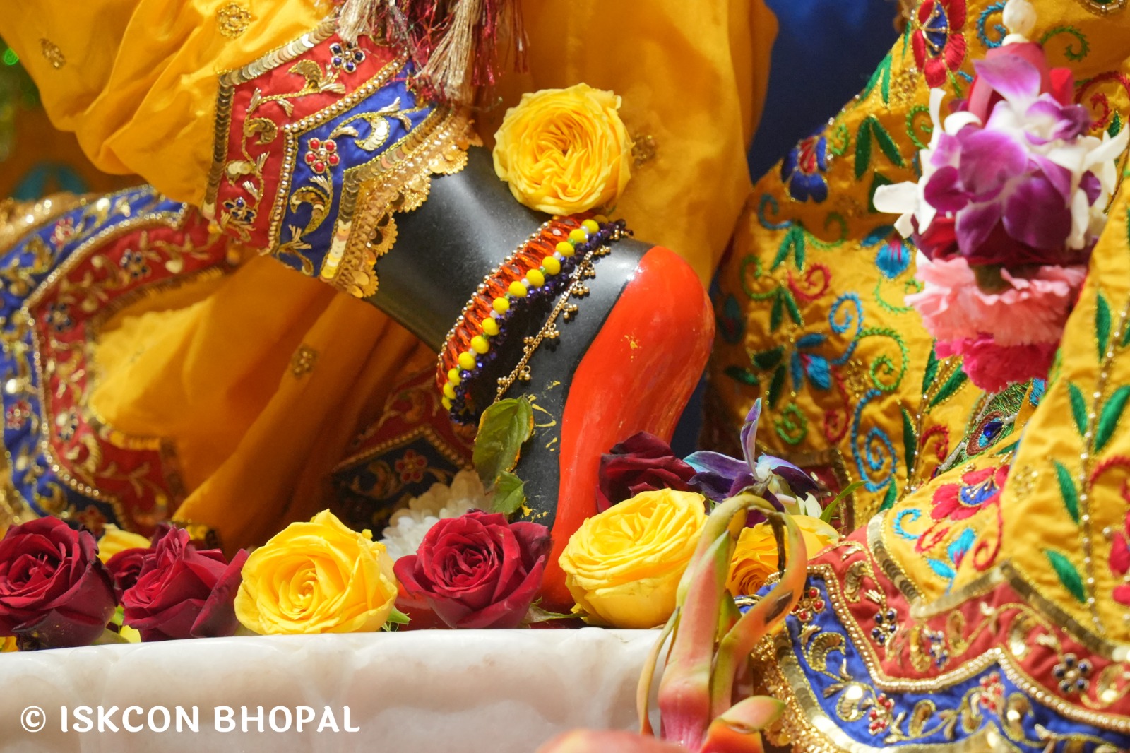 WhatsApp Image 2026-01-03 at 9.11.47 AM