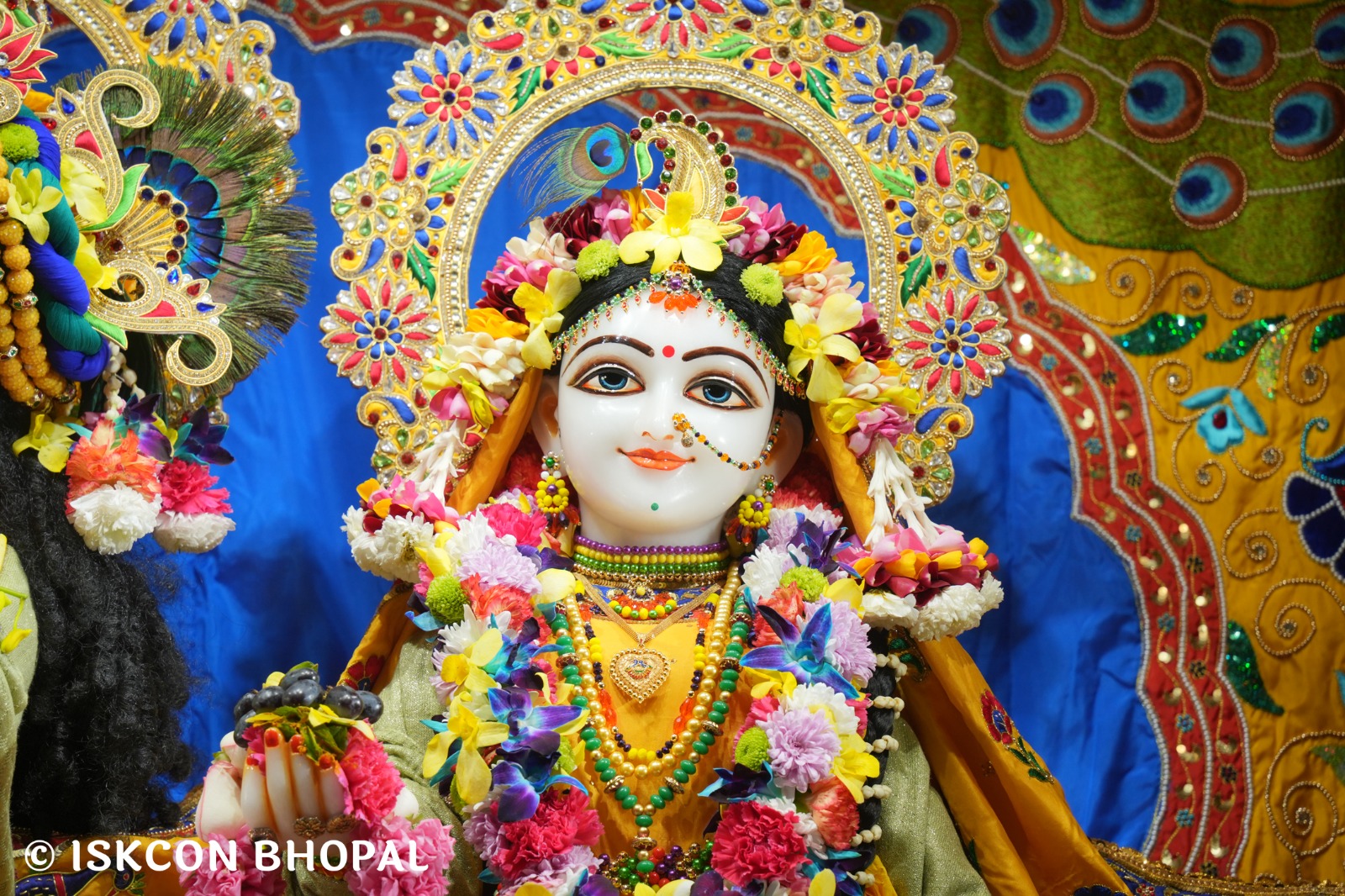 WhatsApp Image 2026-01-03 at 9.11.48 AM (1)