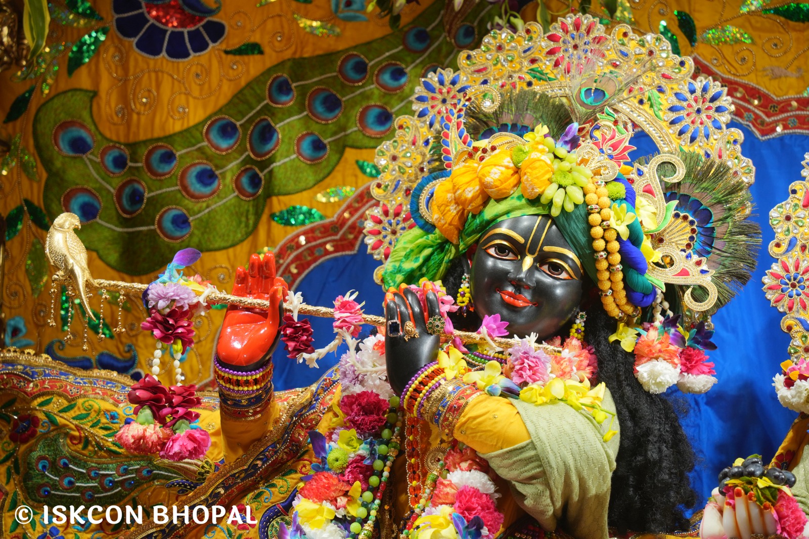 WhatsApp Image 2026-01-03 at 9.11.48 AM (3)