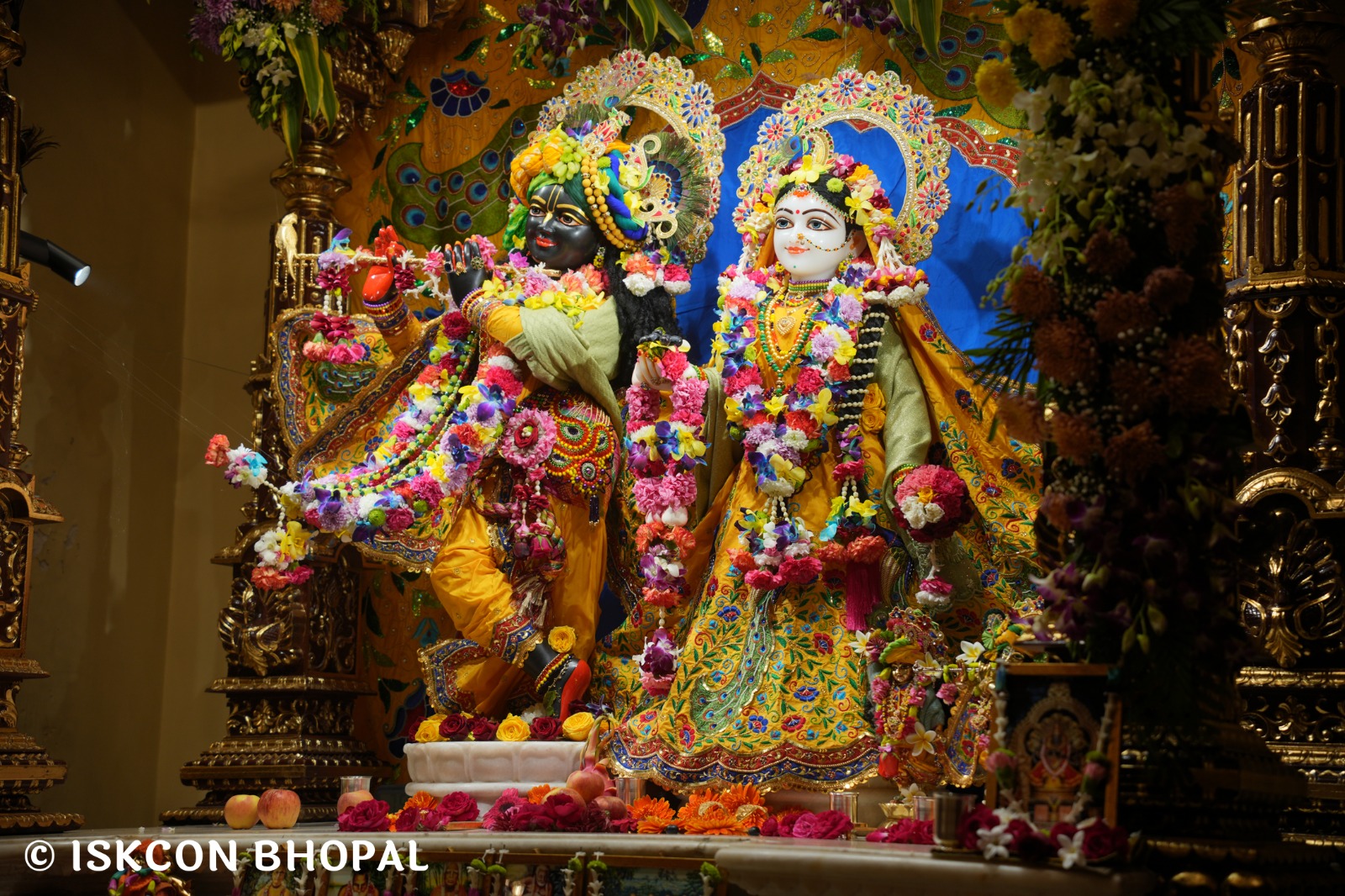 WhatsApp Image 2026-01-03 at 9.11.49 AM (1)