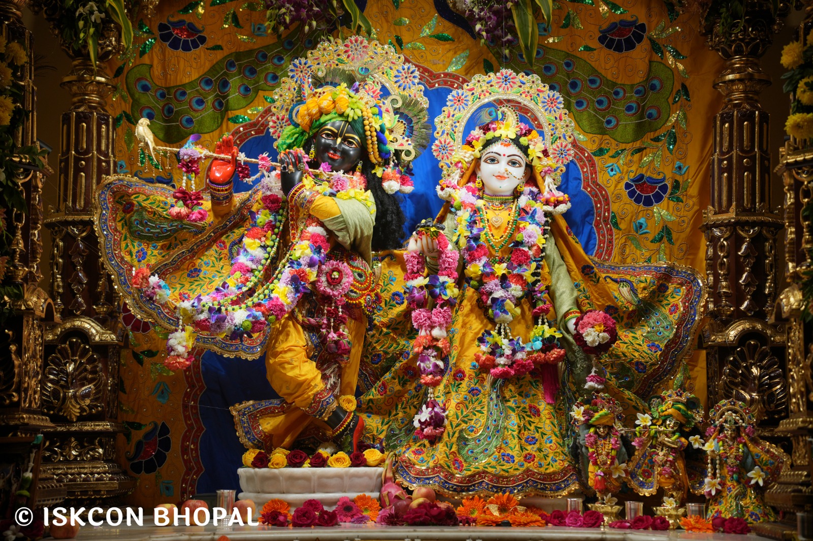 WhatsApp Image 2026-01-03 at 9.11.49 AM