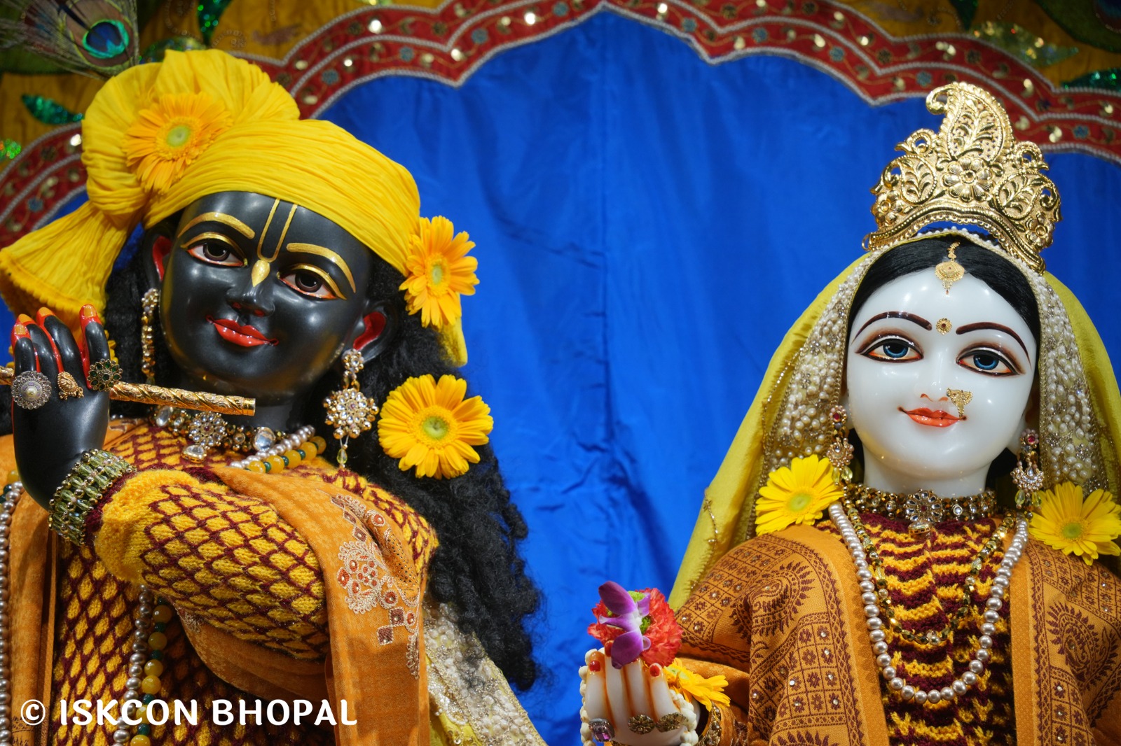 WhatsApp Image 2026-01-04 at 7.12.03 AM (2)