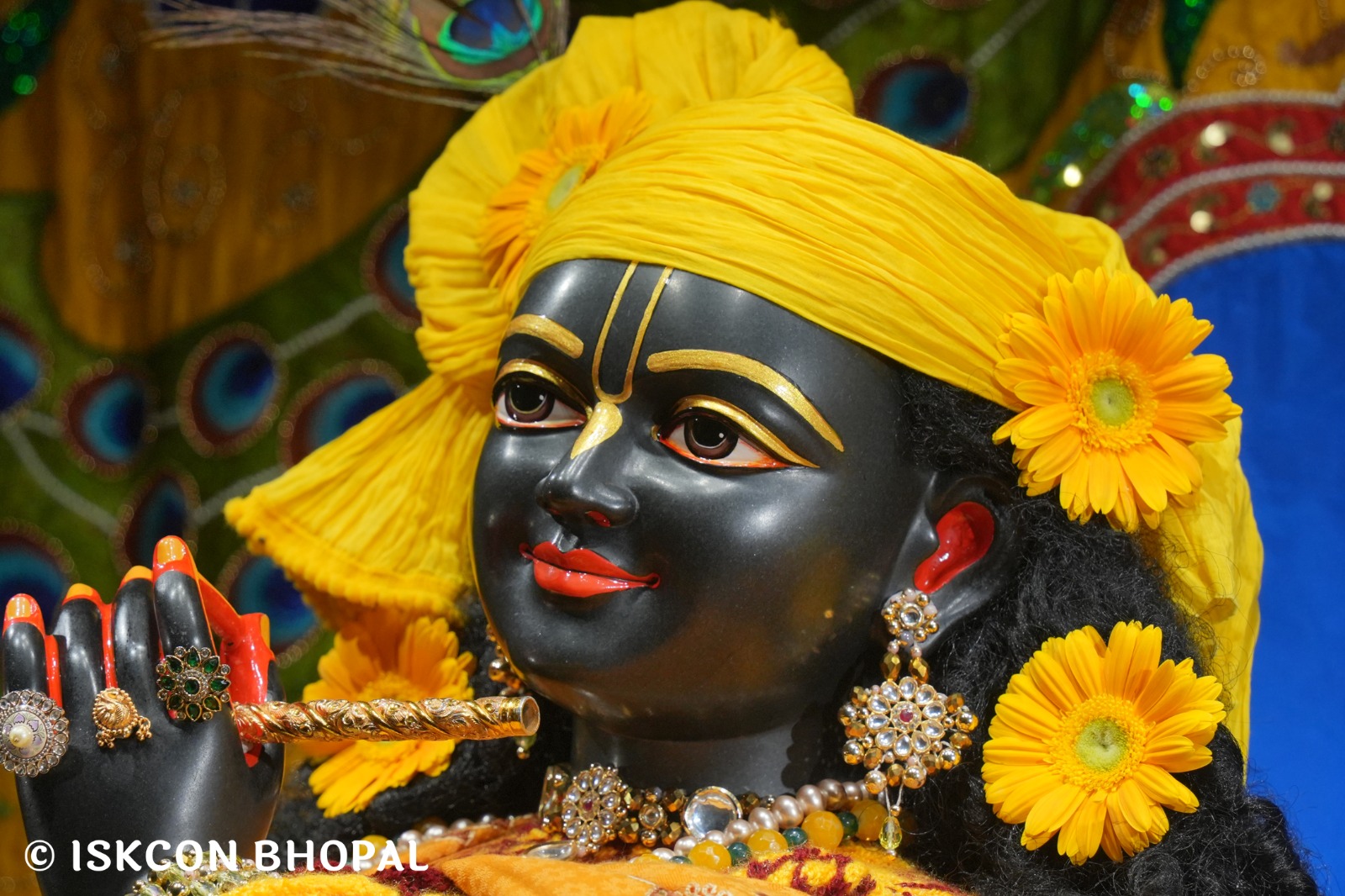 WhatsApp Image 2026-01-04 at 7.12.04 AM (1)