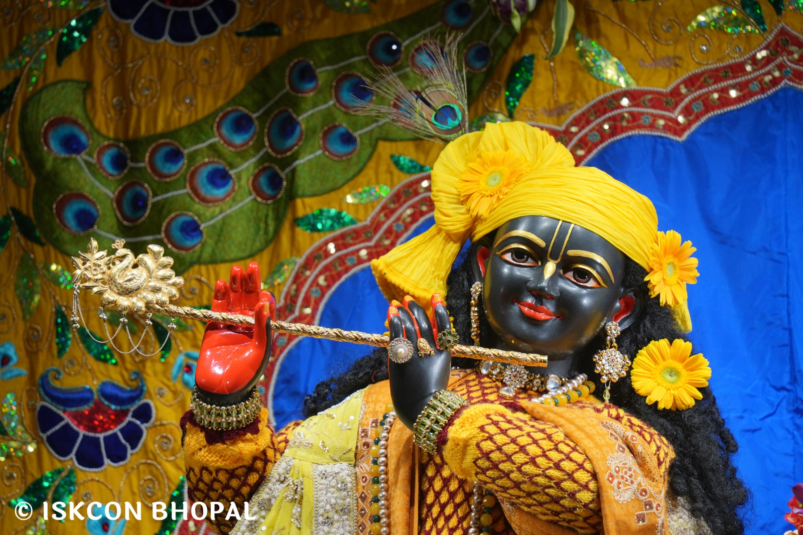 WhatsApp Image 2026-01-04 at 7.12.04 AM (3)