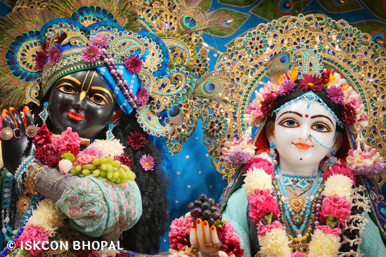 WhatsApp Image 2026-01-04 at 7.49.47 AM (1)