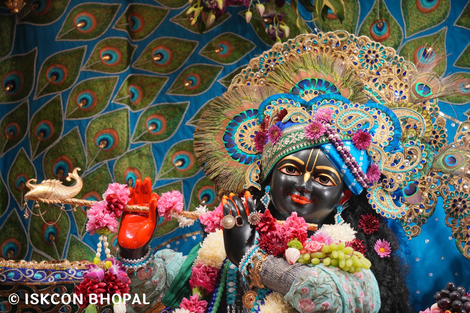 WhatsApp Image 2026-01-04 at 7.49.47 AM