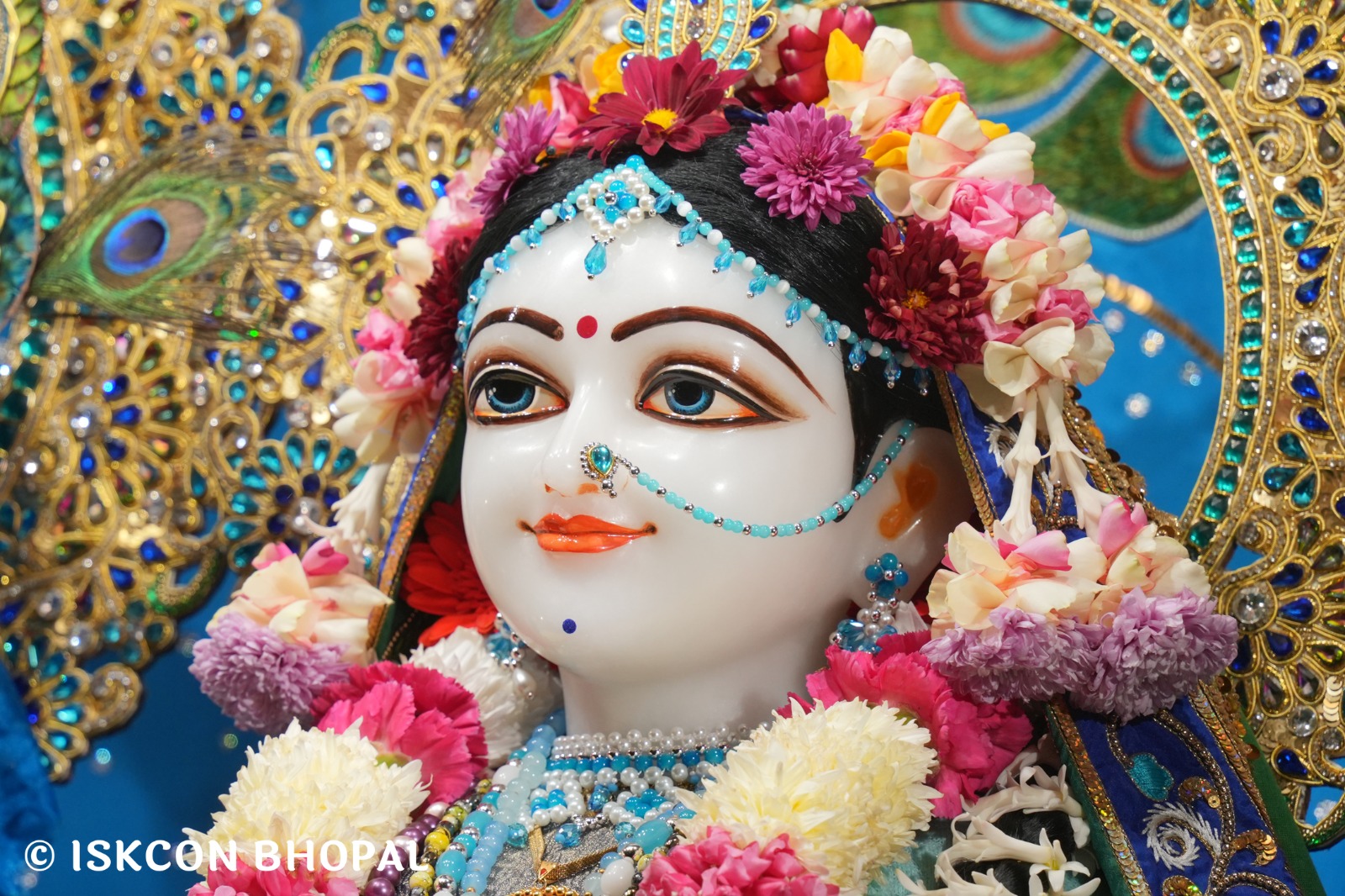 WhatsApp Image 2026-01-04 at 7.49.48 AM (3)