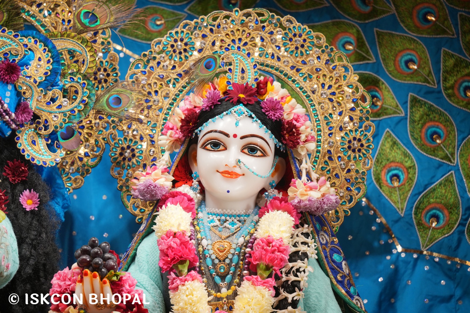 WhatsApp Image 2026-01-04 at 7.49.48 AM