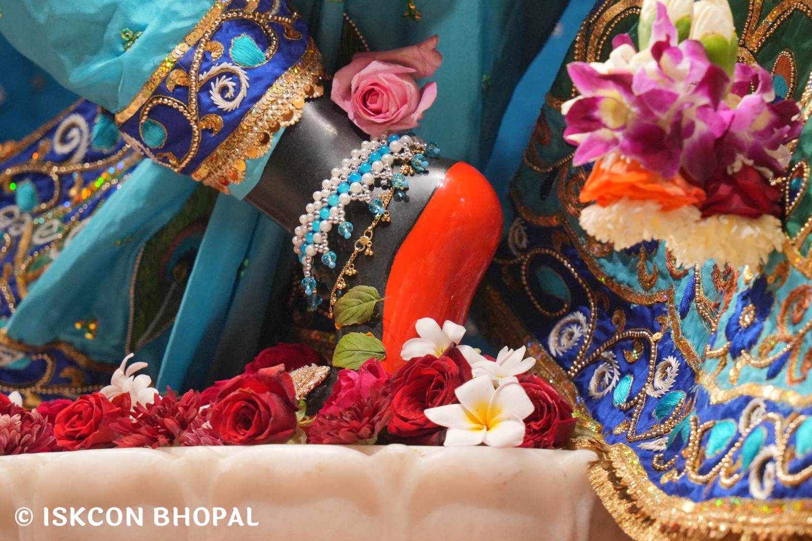 WhatsApp Image 2026-01-04 at 7.49.49 AM (1)