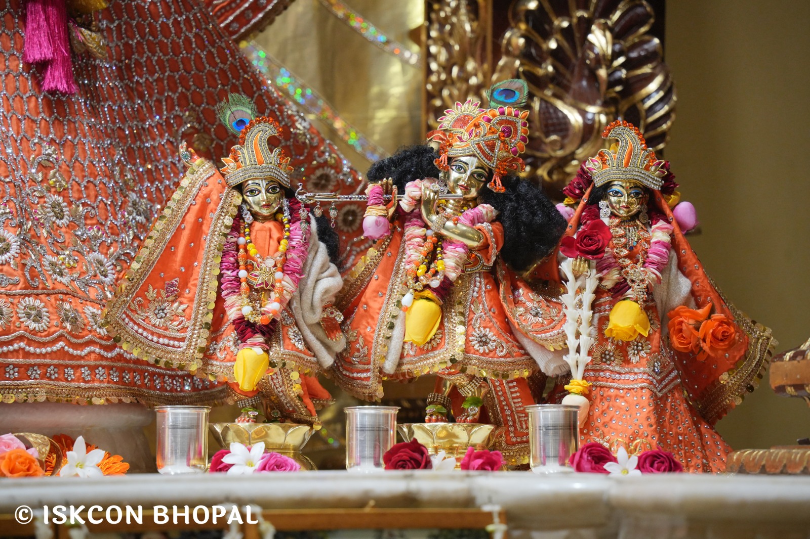 WhatsApp Image 2026-01-05 at 8.34.42 AM (1)